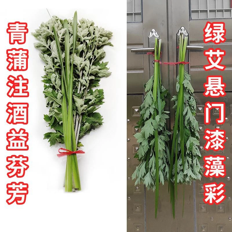 端午节挂门窗新鲜艾草艾叶菖蒲组合野生艾蒿整棵全株家用驱蚊泡澡