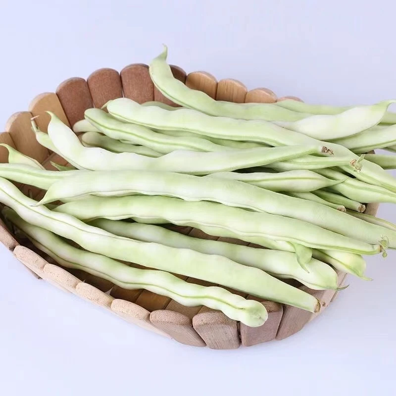 山东新鲜芸豆角农家现摘自产四季豆白豆角老来少九粒扁豆包邮