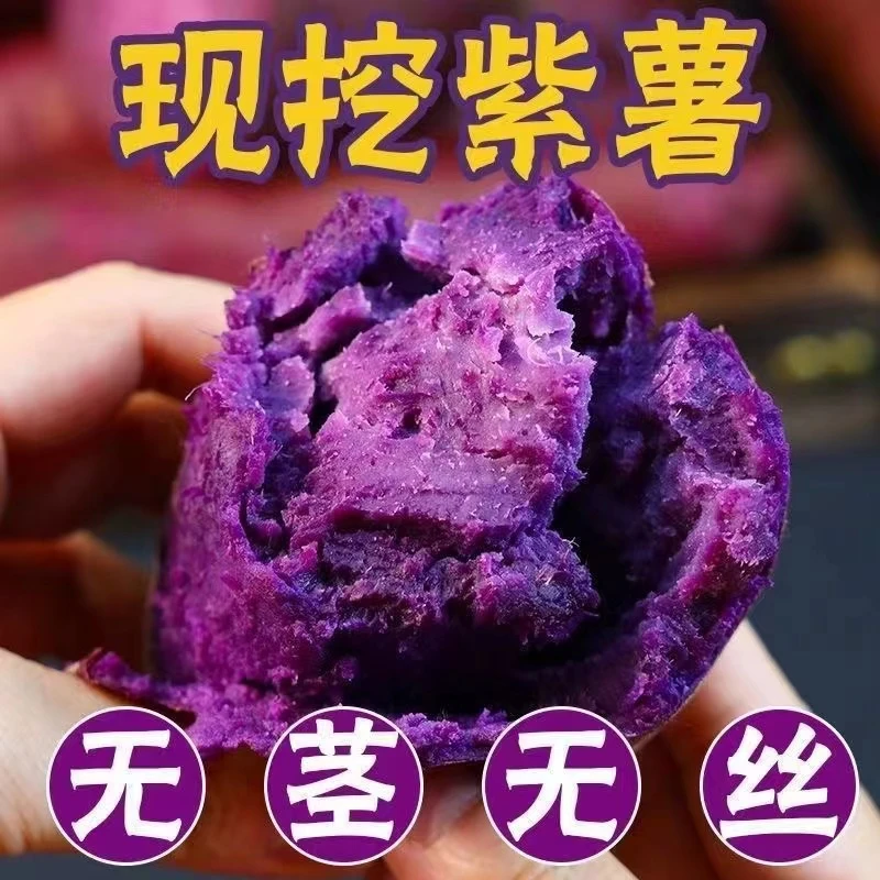 【正宗紫罗兰紫薯】新鲜沙地番薯紫心蜜薯粗粮代餐地瓜宝辅食9/5斤