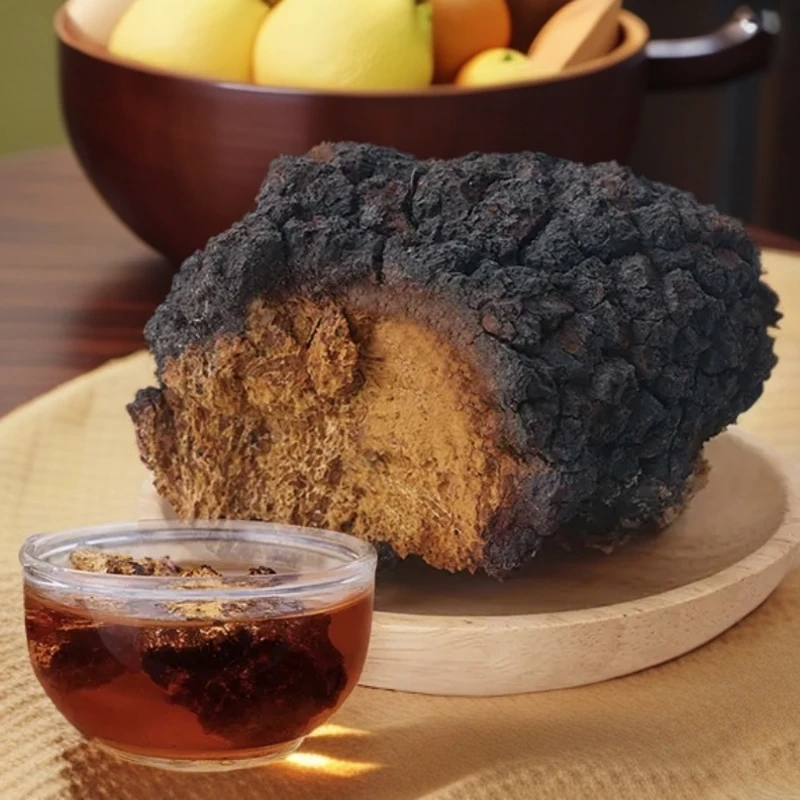 长白山桦褐孔菌