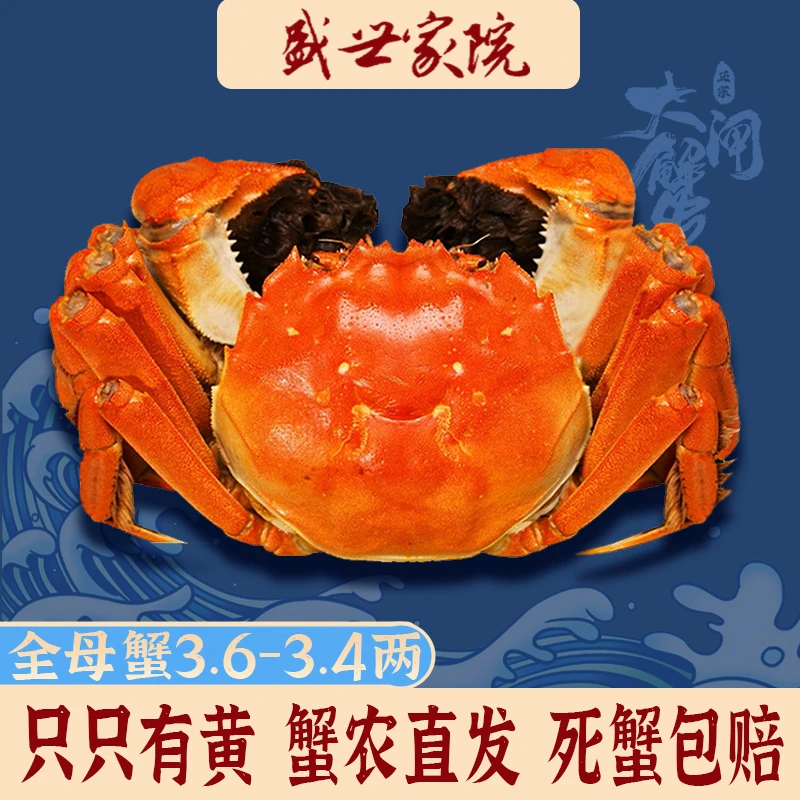【现货】3.4-3.6两全母6-10只礼盒装固城湖大闸蟹鲜活现货特大母蟹