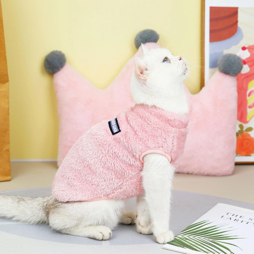 宠物服装猫咪衣服秋冬装新款小猫蓝猫宠物衣服冬季保暖22好运绒衣