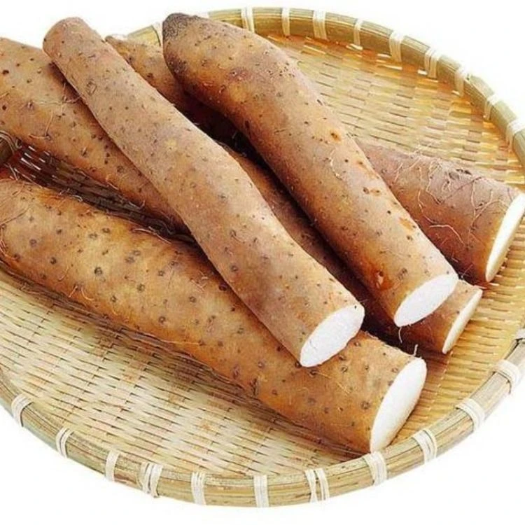 铁棍山药约450-500g