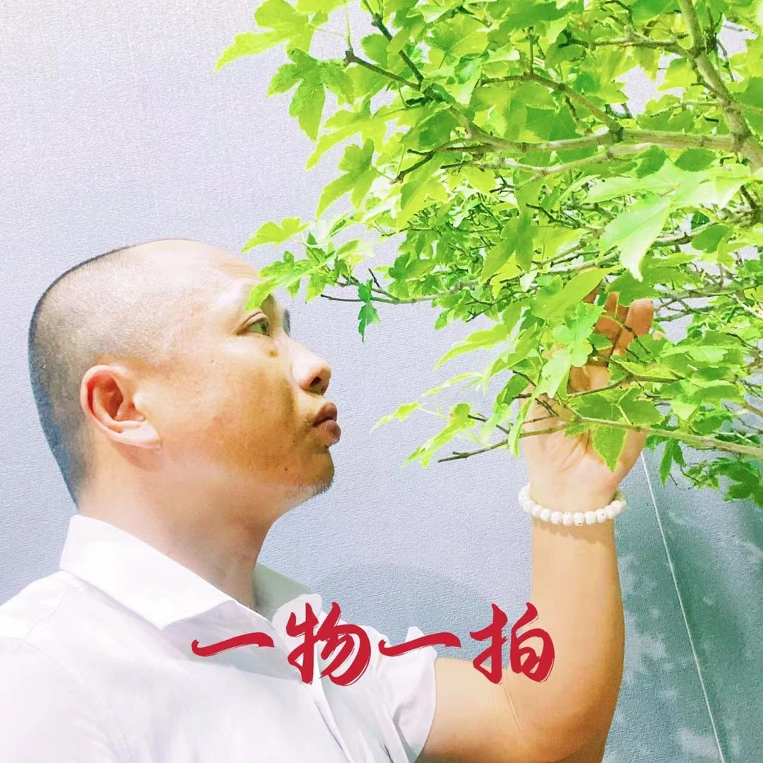 一品卉2号链接-一物一拍-实物以直播间为准精品栀子花龙船花盆景