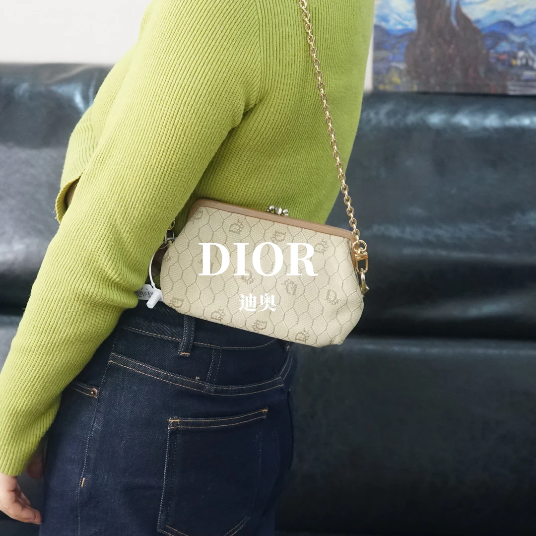 95新 DIOR/迪奥 单肩链条包/AR11627044/7044