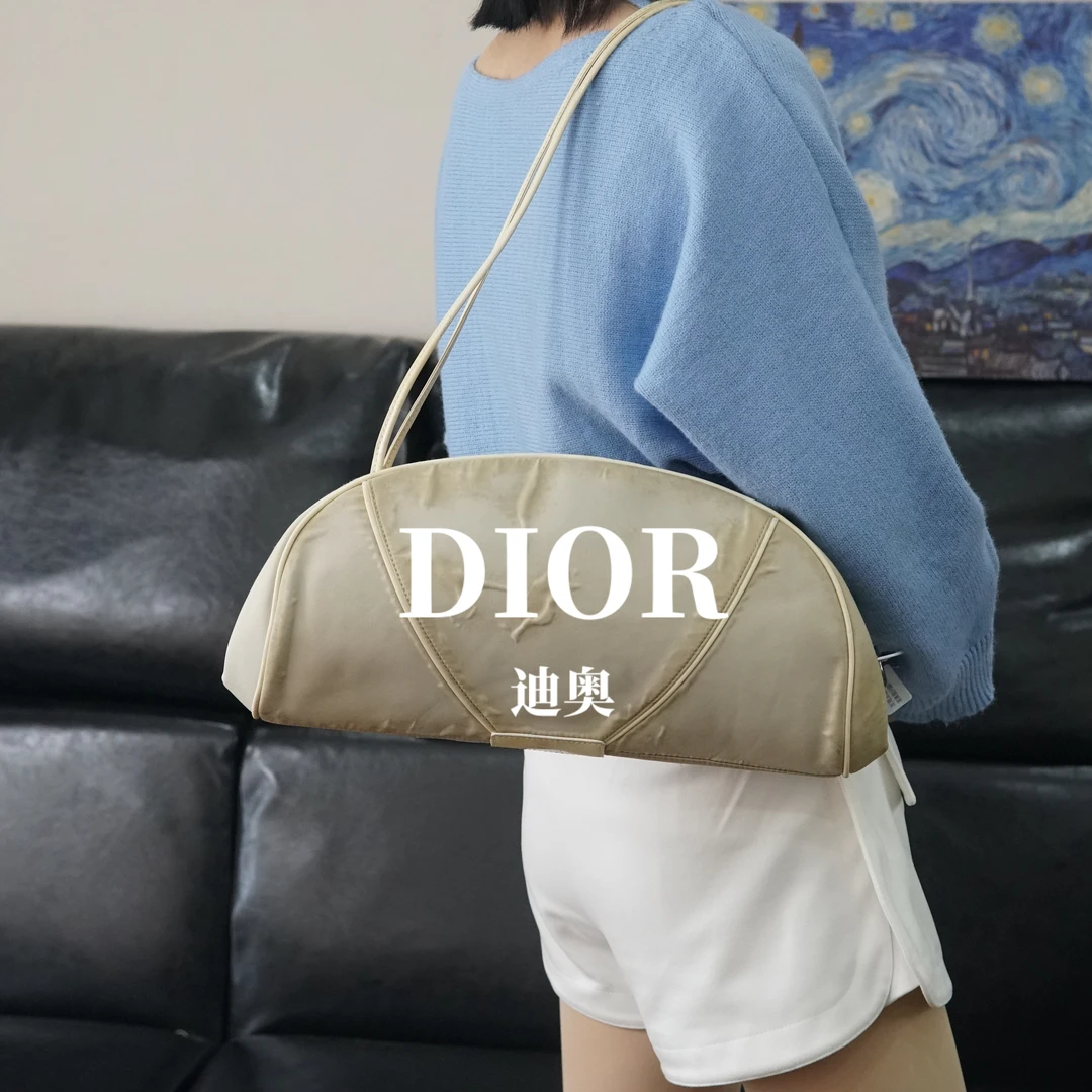 95新 DIOR/迪奥 单肩包/FYWJ11011009/1009