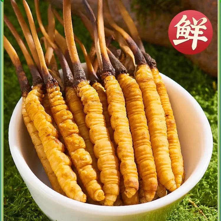 青佰谣新鲜冬虫夏草06-0.8克/根