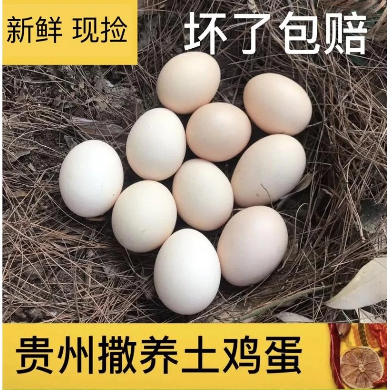 养殖农村农家正宗散养土鸡蛋月子鸡蛋笨鸡蛋柴鸡蛋30枚新鲜包邮