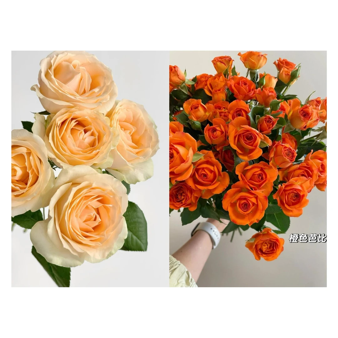 【福利组合】今日限定浪漫 混搭花束 生活中的小美好