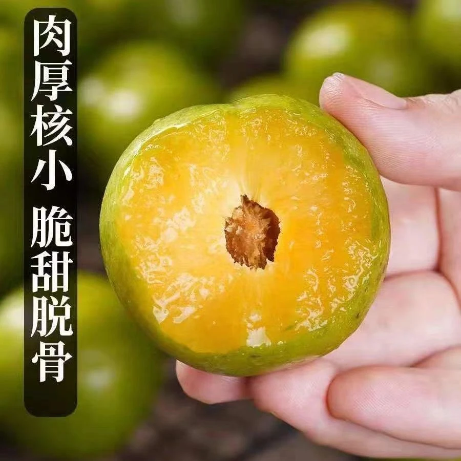 【脆甜多汁】巫山脆李大果一箱装3斤(包邮到家)