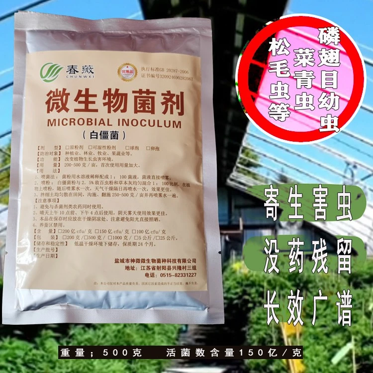 白僵菌 微生物菌剂 地老虎蛴螬菜青虫甜菜叶娥颗粒剂