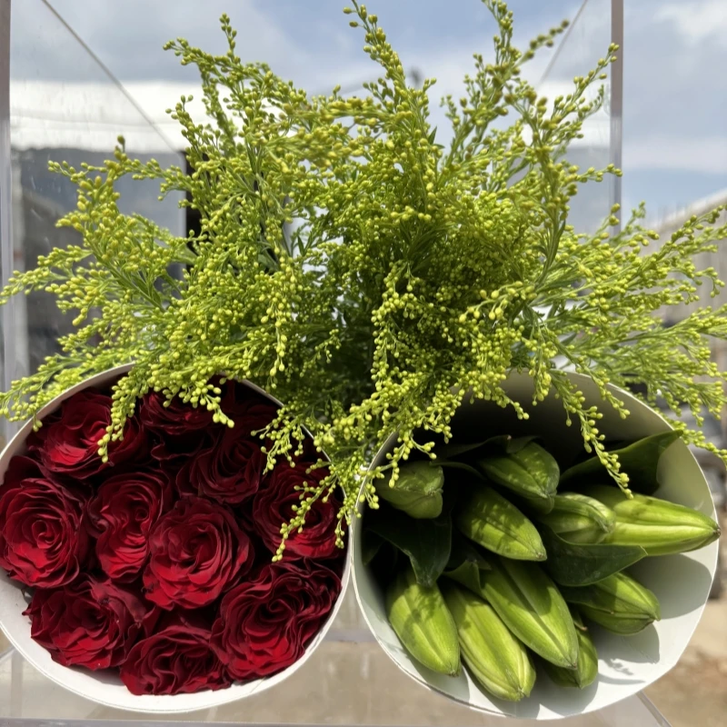 玫瑰10枝+百合5个花苞+送配草 云南昆明鲜花产地直发