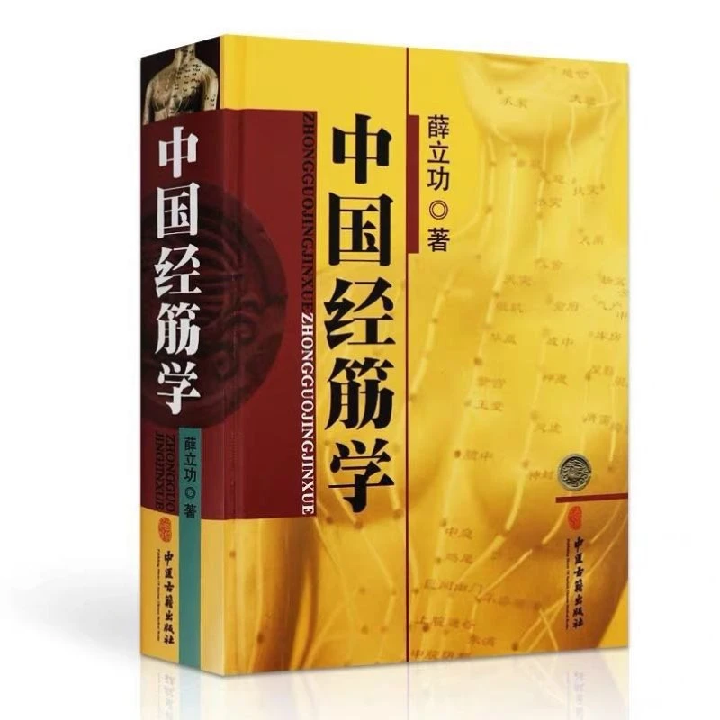 中国经筋学 薛立功 中医经筋学体系概述 经脉经络学说 十二经