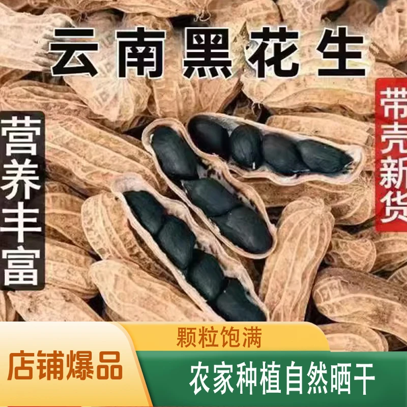 黑花生富硒花生美味黑花生带壳生花生自产新鲜晒干香甜原生黑花生