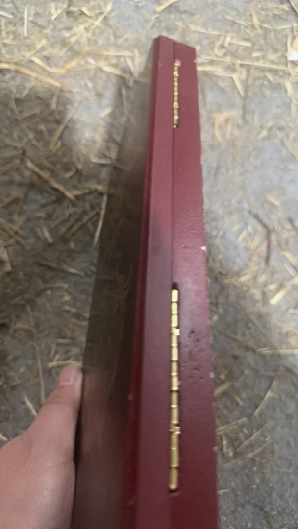 【闪购商品】165五个龙福摆件一个