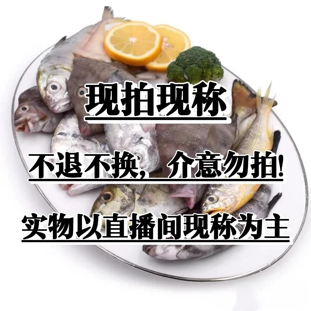 海捕杂鱼2斤(实物以直播现场为主)