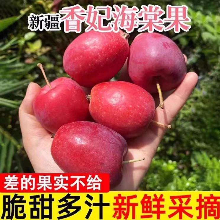 新疆直发正宗香妃海棠脆甜多汁鸡心果净重5斤 单果40-70mm 精品果