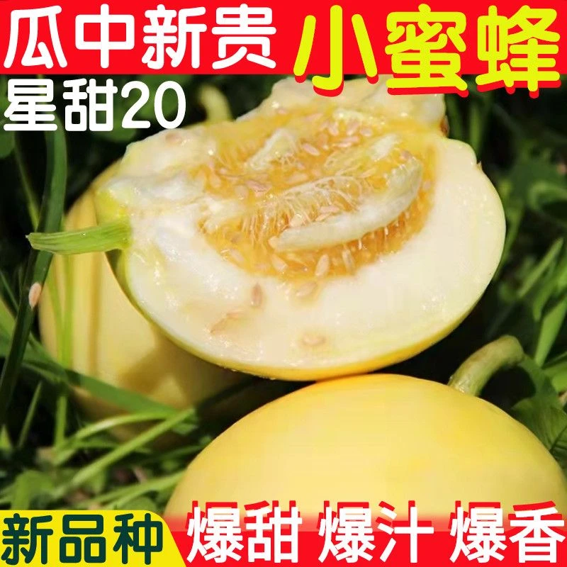 正宗山东小蜜蜂甜瓜星甜20蜜罐甜瓜新鲜水果香瓜脆黄金瓜爆甜大果