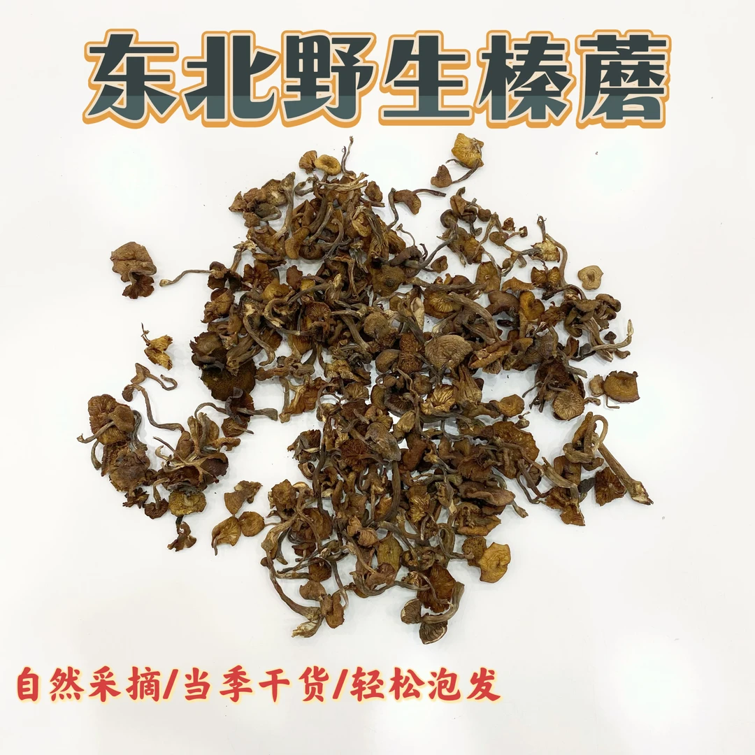 【小马歌专属】东北野生榛蘑（自然采摘）