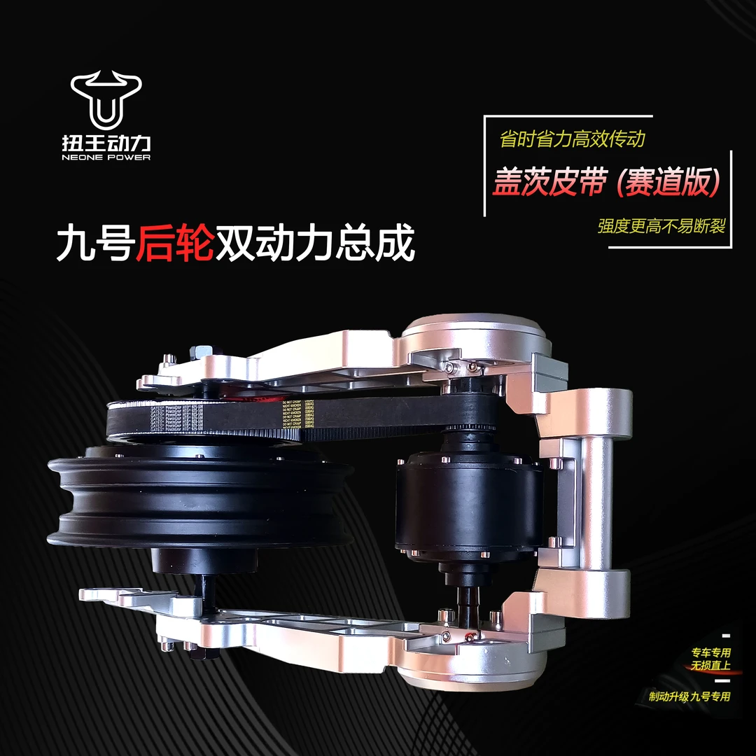 扭王双动力电机九号雅爱台直上