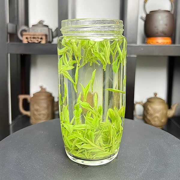 2025年新茶上市 A348 浙江原产白茶绿茶叶经典兰香送礼 250g/500g