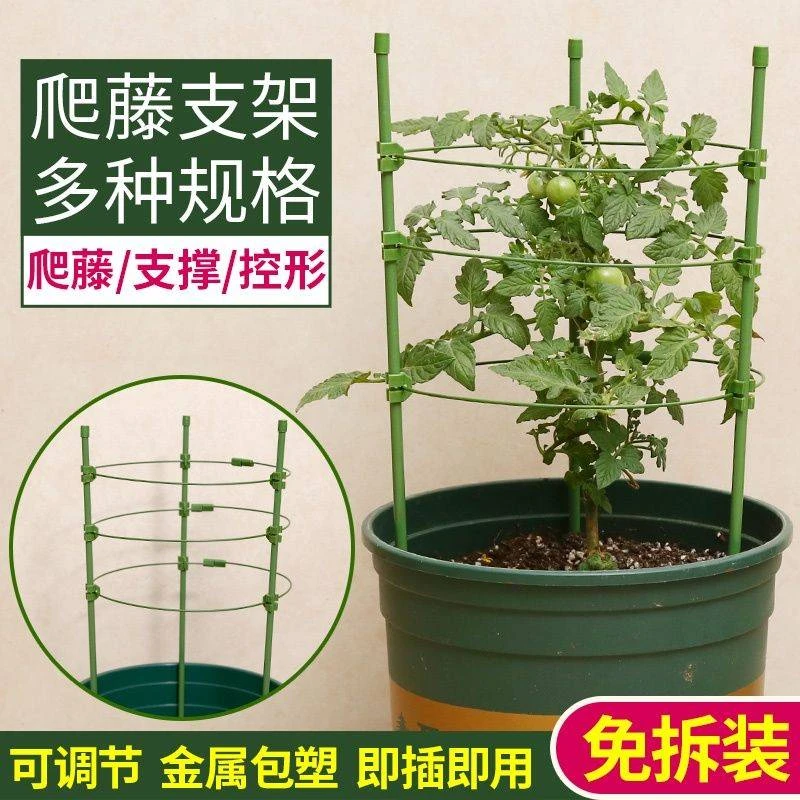 花架子室内家用支架通用型蟹爪兰花架莲花护叶架园艺盆栽爬藤架
