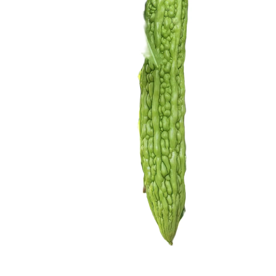 【败火良品】寿光新鲜农产品食用苦瓜现采现摘3斤5斤包邮