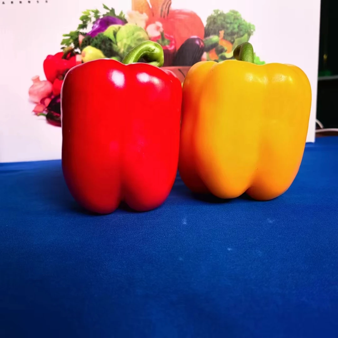 寿光 原产地五彩椒