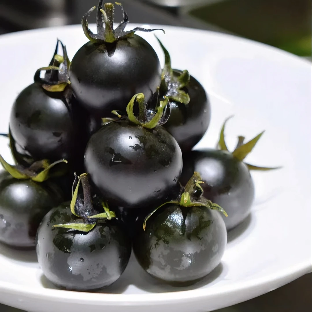 黑番茄高端水果蔬菜新鲜生食小番茄产地直发