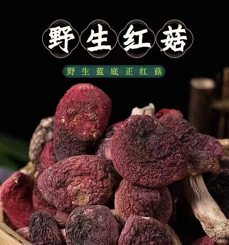 山农田园优选店【大～红菇】100g