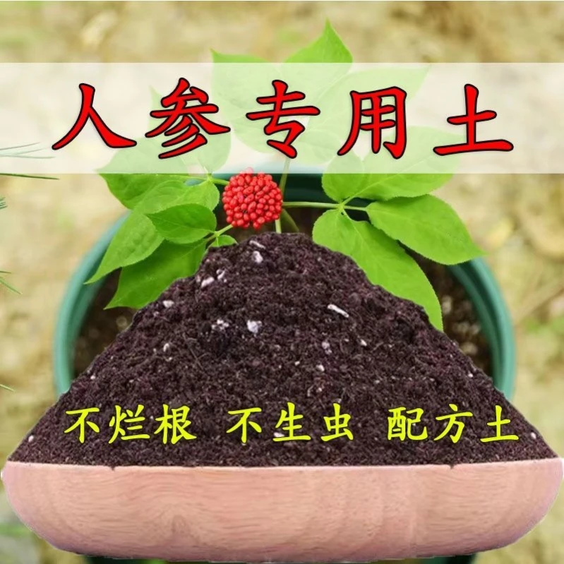 人参专用土养花专用土通用家用盆栽土人参有机土人参苗专用营养土