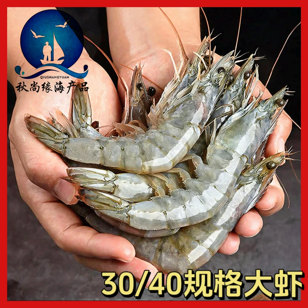 【秋尚缘】连云港大虾30/40规格鲜活速冻冷冻南美白虾对虾海捕大虾