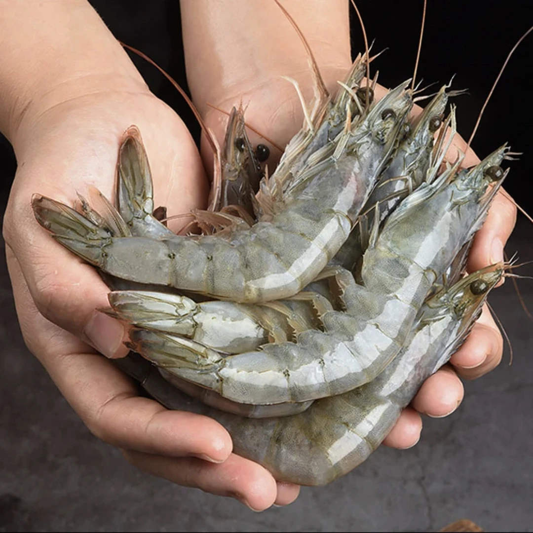 20-30规格大虾1盒 10-14只/斤 肉质鲜甜 去冰净重3斤