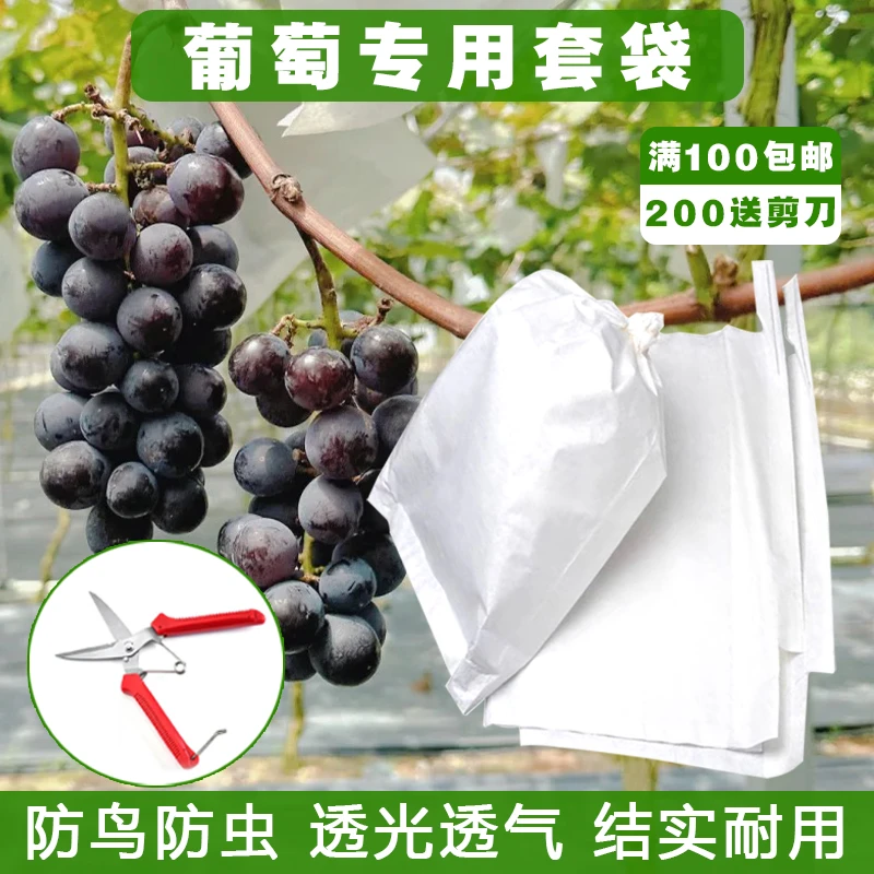 葡萄袋子防鸟防虫袋露天葡萄专用套袋水果育果袋 纯木浆纸袋包邮