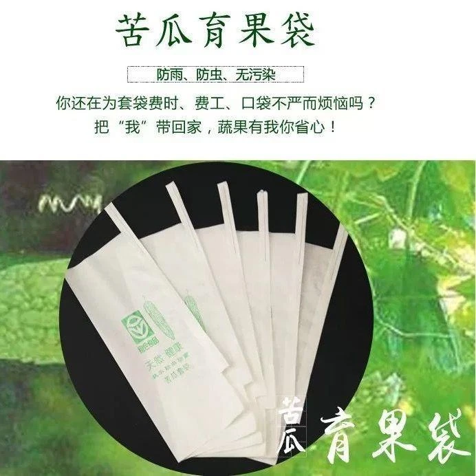 丝瓜黄瓜苦瓜专用套袋防虫袋瓜蔬菜瓜果专用套袋水果套袋防鸟袋子
