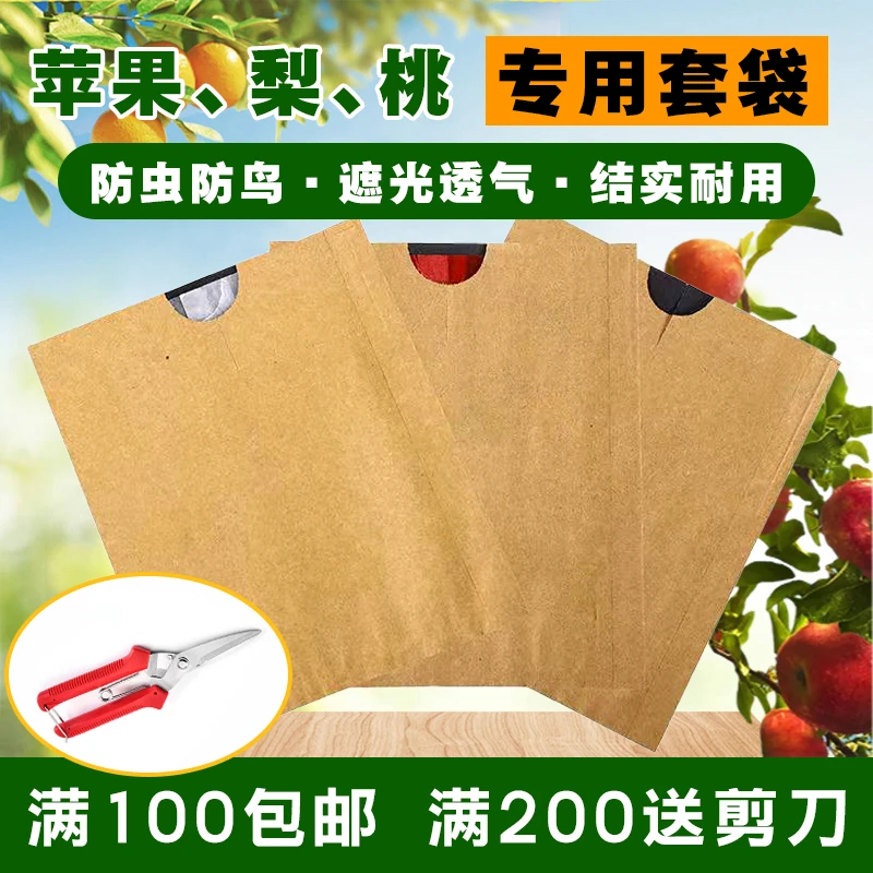 桃子套袋专用袋黄桃袋桃子纸袋黄桃水蜜桃蟠桃纸袋防虫防雨水桃袋