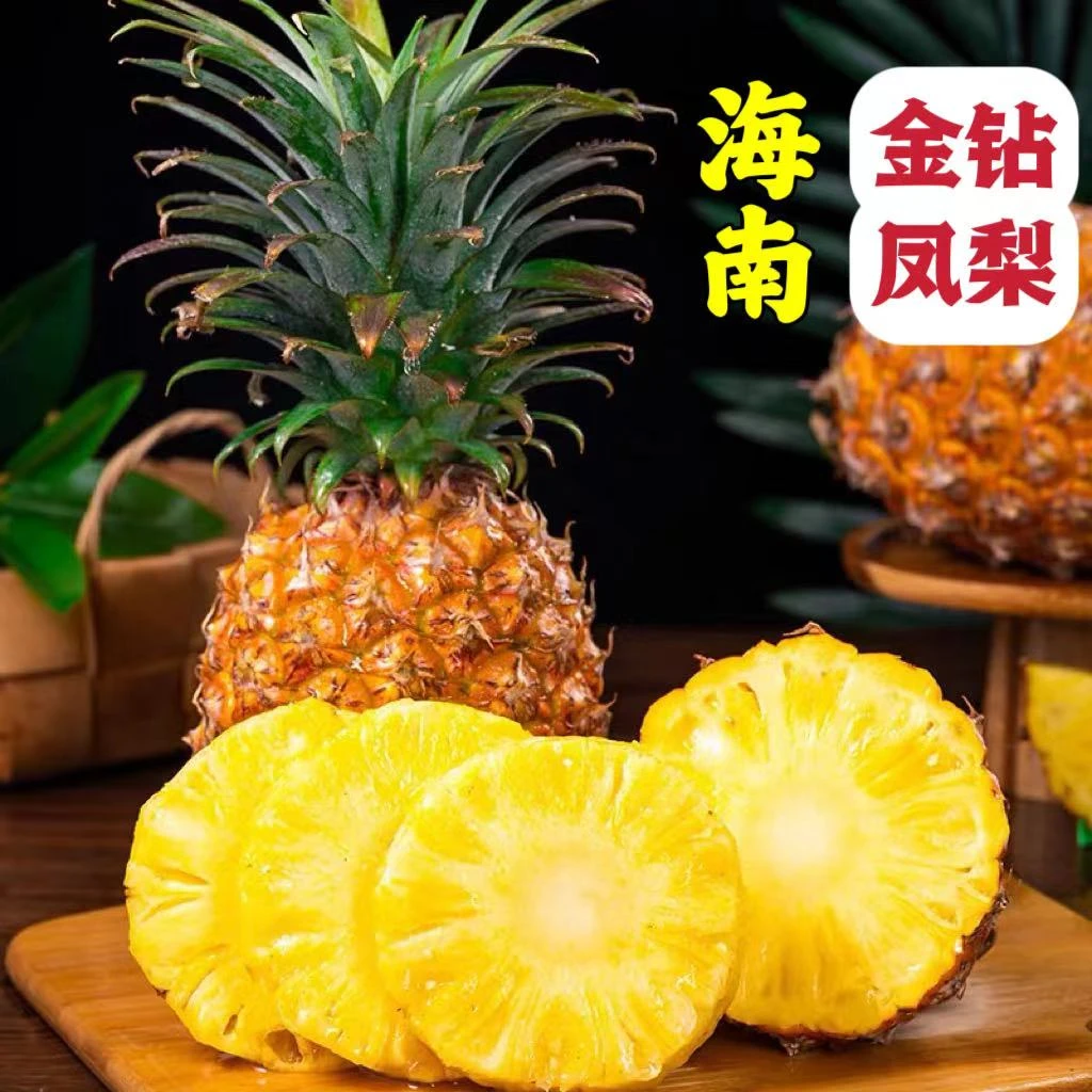 【树上熟】正宗海南金钻凤梨新鲜应季净重5斤产地直发