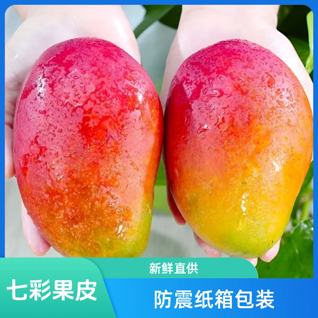 【重磅福利】正宗攀枝花彩虹芒果 香甜多汁 鲜嫩饱满产地 直发5斤装