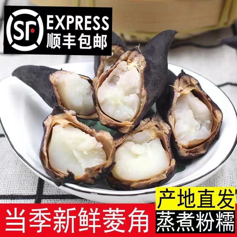 洪湖菱角新鲜现摘老菱角洪湖粉糯棱角凌角3斤5斤莲角带壳老菱角