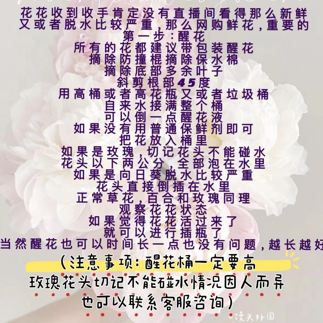 【秋色绣球】秋色绣球1枝，圆球球团团圆圆全场任意两单鲜花包邮（坤）