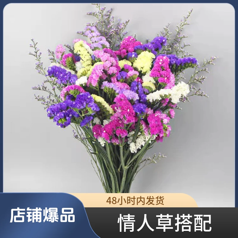 昆明直发勿忘我七夕干花花束鲜花真插花卉礼物花卉