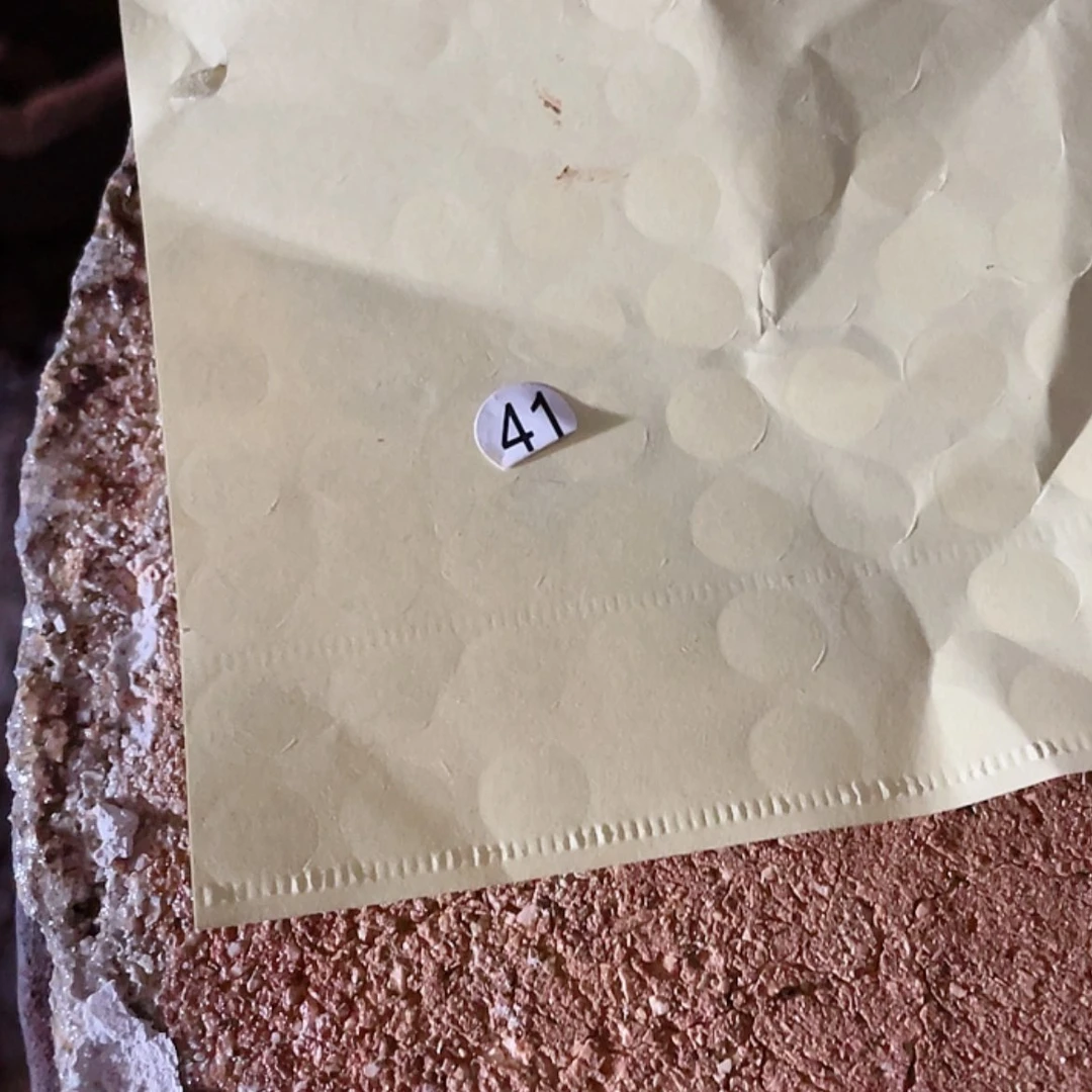 【闪购商品】瓷茶盏