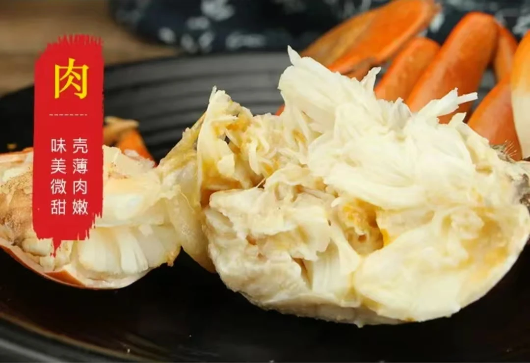 生鲜礼盒海蜇头大连青蟹威海鲜活海鲜送礼新鲜大青蟹螃蟹年货礼包