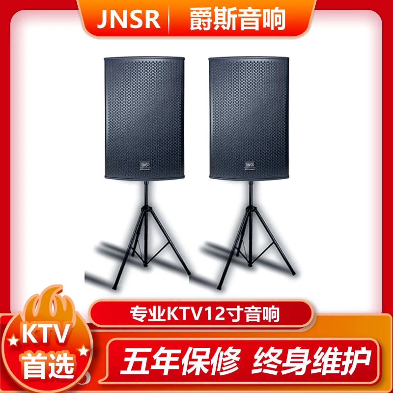 爵斯12寸进口喇叭单元专业KTV酒吧大厅包间工程家用专用音响