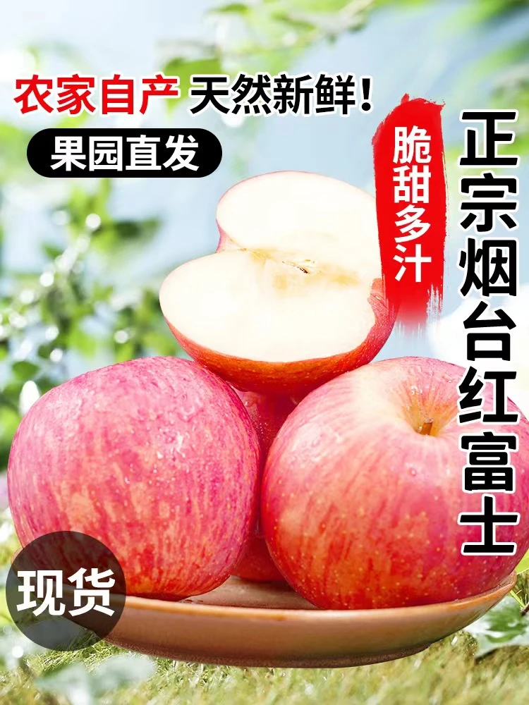山东烟台红富士苹果 山东烟台 东方红 新鲜  脆甜 4.5斤