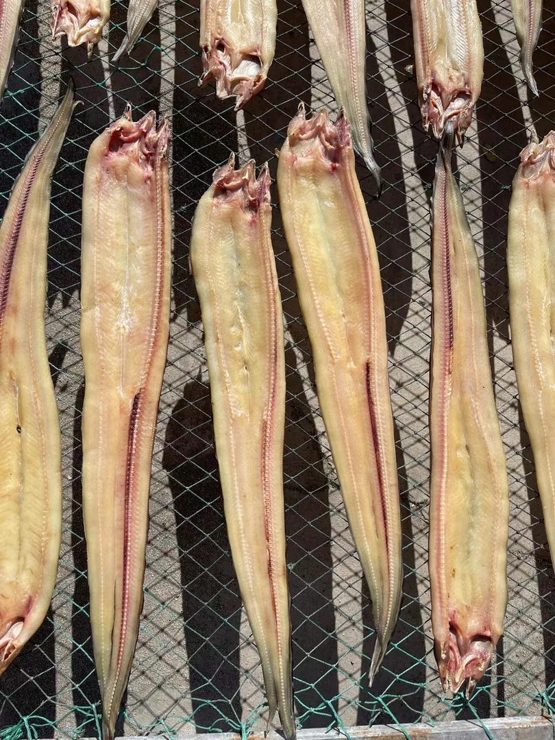 大连 自家晾晒鳝鱼干称重