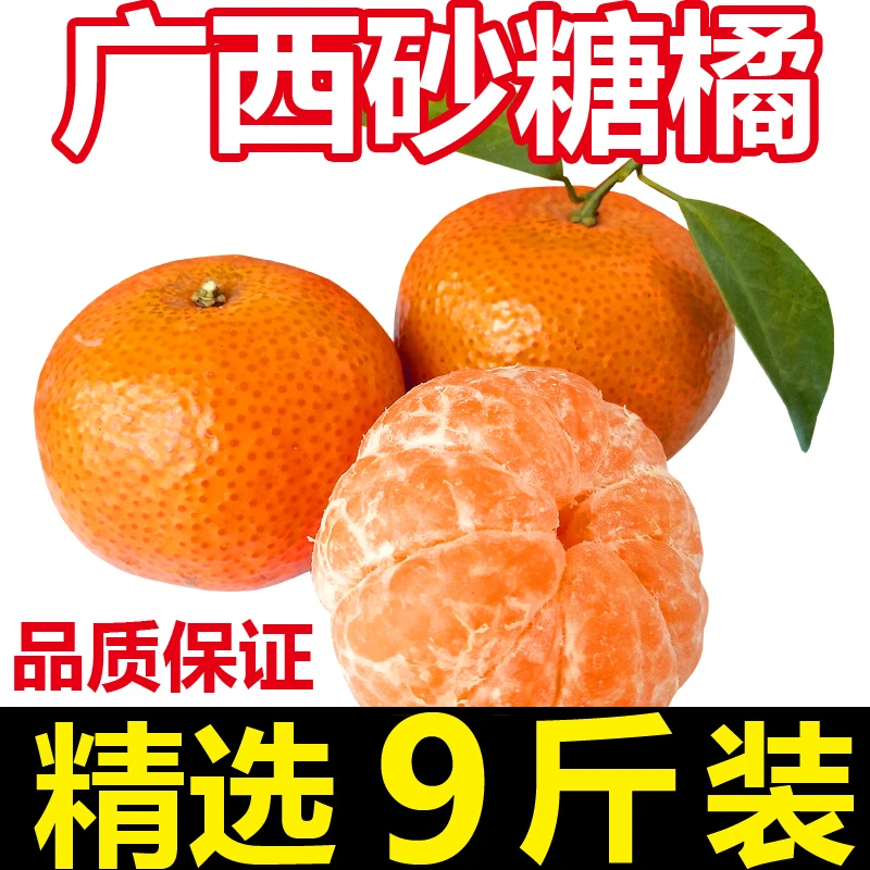 【山1】正宗广西沙糖桔新鲜桔子年货薄皮砂糖橘5/9斤应季水果