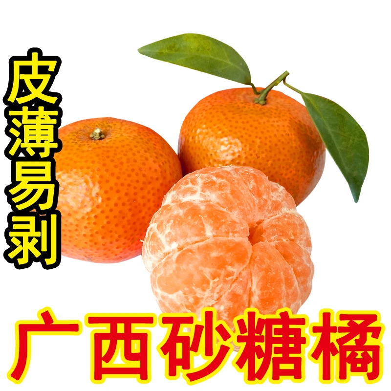 新鲜广西砂糖橘薄皮多汁无籽香甜橘子3/5/8斤当季水果