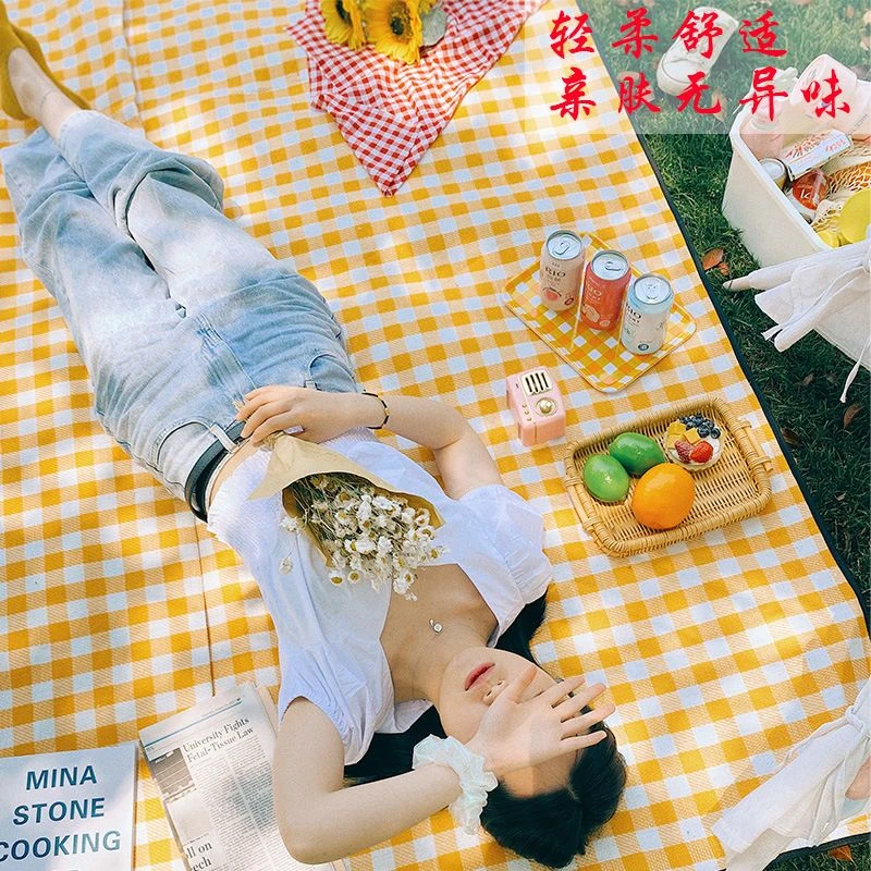 B牛津布600D防潮垫 户外野餐布 野炊帐篷地垫便携防水加厚野餐垫