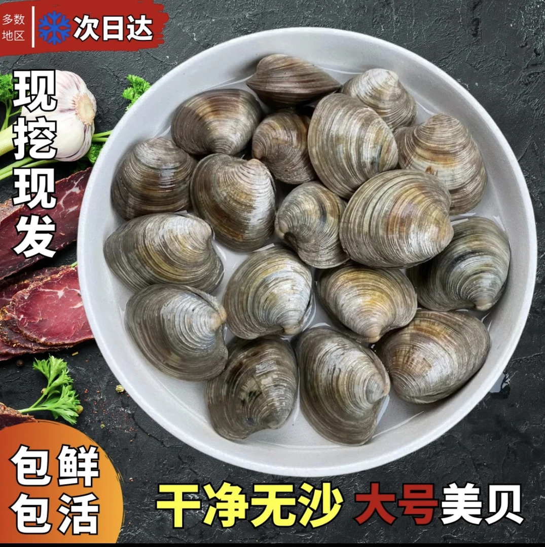 （抢3斤送2斤发5斤）蛤蜊花甲黄蚬子无泥无沙包活刺身海鲜大号鲜嫩